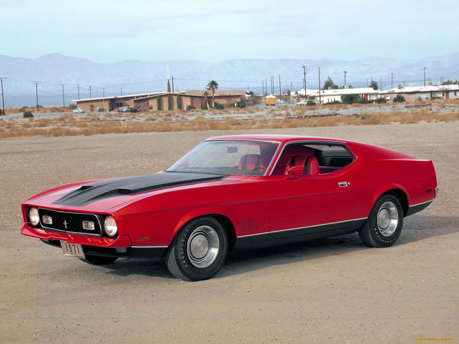 , mustang